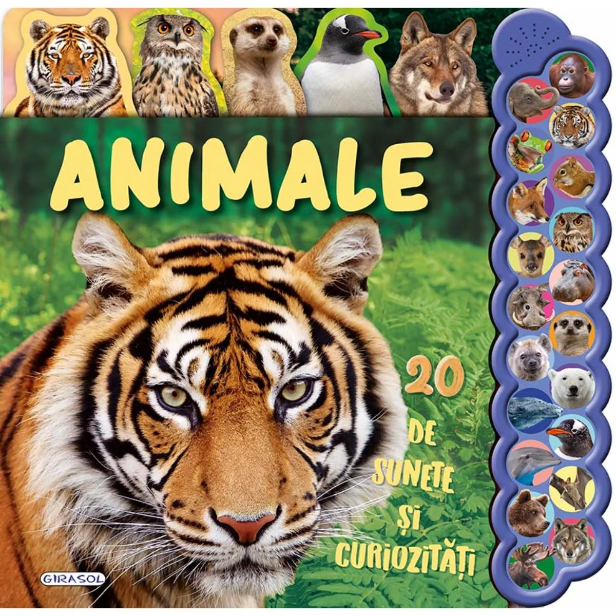 20 De sunete si curiozitati