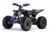 ATV electric ECO Replay XXL 1000W 48V 20Ah cu diferential