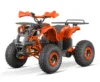 ATV electric NITRO Eco Toronto 1000W 48V 20Ah cu DIFERENTIAL