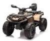 ATV electric pentru 2 copii Can Am Outlender 800W 24V Bombardier