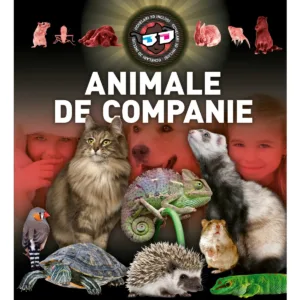 Animale de companie 3D