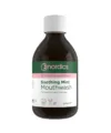 Apa de gura calmanta cu menta pentru prospetime extraordinara Nordics 300 ml