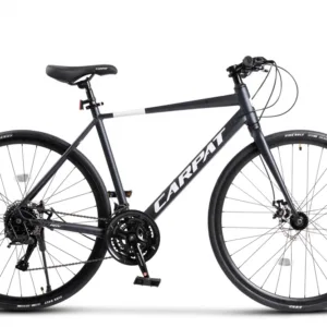 Bicicleta CityGravel Carpat RDV C28320G AlbastruAlb
