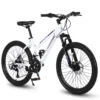 Bicicleta MTB Carpat One S26103 Alb