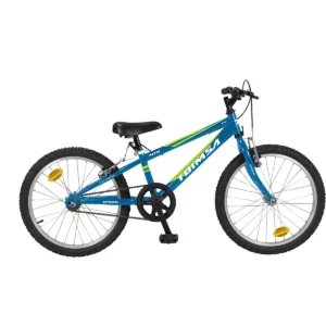 Bicicleta Toimsa
