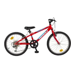 Bicicleta Toimsa