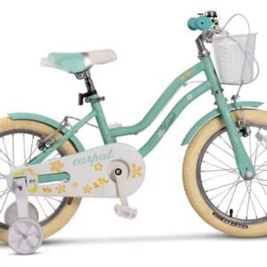 Bicicleta pentru copii 4-6 ani Carpat C16178A Turcoaz 16 inch