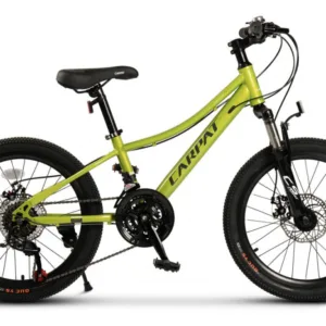 Bicicleta pentru copii 7-10 ani Carpat Polestar C20261A Verde