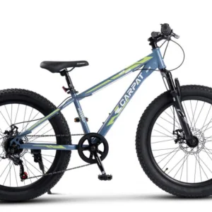 Bicicleta pentru copii Ecarpat Ride S24109C AlbastruVerde