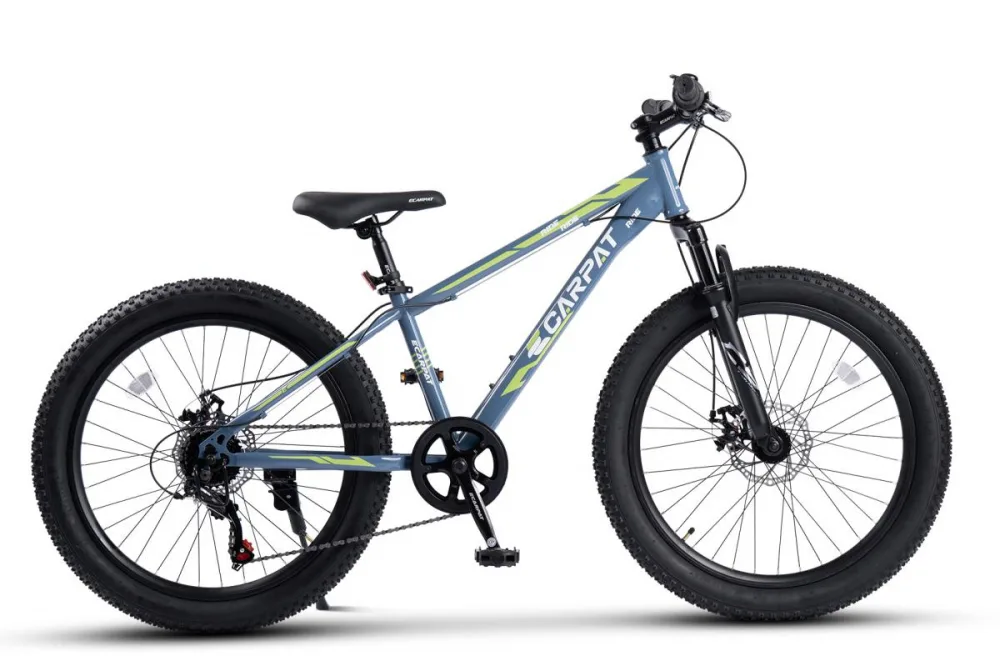 Bicicleta pentru copii Ecarpat Ride S24109C AlbastruVerde