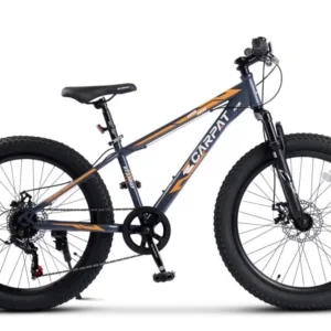 Bicicleta pentru copii Ecarpat Ride S24109C Gri