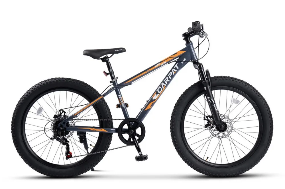 Bicicleta pentru copii Ecarpat Ride S24109C Gri