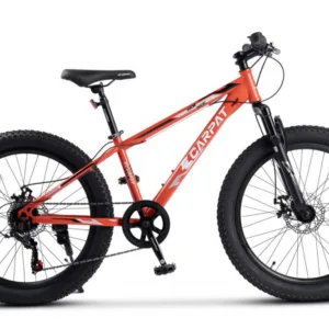 Bicicleta pentru copii Ecarpat Ride S24109C Portocaliu