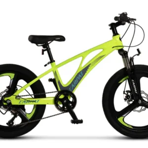 Bicicleta pentru copii MTB Carpat C20343A VerdeGri