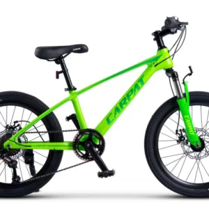 Bicicleta pentru copii MTB Carpat Hiro C20342A Verde