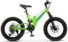 Bicicleta pentru copii MTB-FS Carpat C20344A VerdeAlbastru
