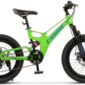 Bicicleta pentru copii MTB-FS Carpat C20344A VerdeAlbastru