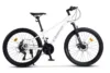 Bicicleta pentru copii MTB-HT Carpat Pro Teen C24472A Albgri