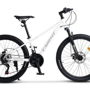 Bicicleta pentru copii MTB-HT Carpat Pro Teen C24472A Albgri