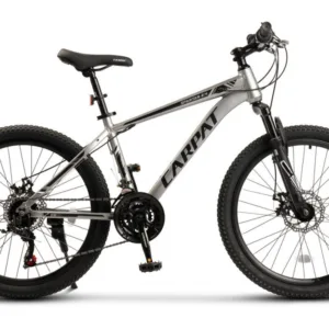 Bicicleta pentru copii MTB-HT Carpat Spartan C2499G GriNegru