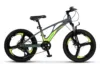 Bicicleta pentru copii Mountain Bike Carpat GriVerde 20 inch
