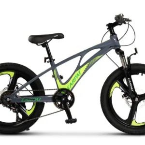 Bicicleta pentru copii Mountain Bike Carpat GriVerde 20 inch