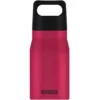 Bidon din otel inoxidabil Explorer Deep Magenta 0.55L
