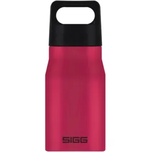 Bidon din otel inoxidabil Explorer Deep Magenta 0.55L