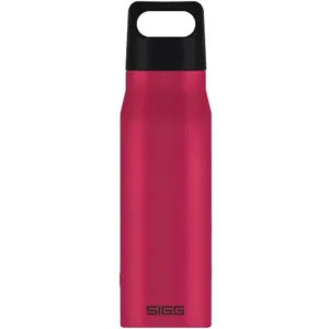 Bidon din otel inoxidabil Explorer Deep Magenta 1L