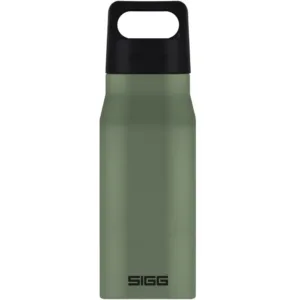 Bidon din otel inoxidabil Explorer Leaf Green 0.75L