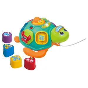 Broscuta de tras cu sunete si lumini Winfun Sort N Learn
