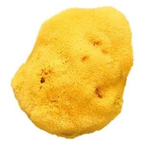 Burete natural cu pori fini-16