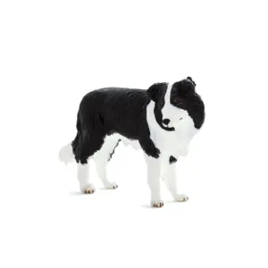Caine Border Collie Mojo Animal Planet