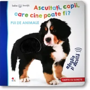 Carte Ascultati Copii Oare Cine Poate Fi. Bebe Invata Pui De Animale