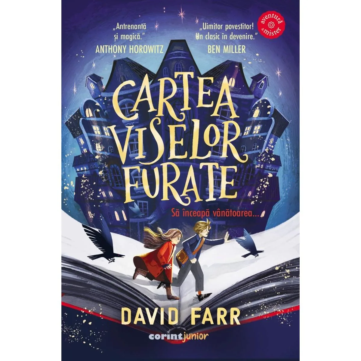 Cartea viselor furate