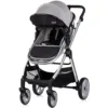 Carucior 2 in 1 pentru copii Chipolino Vista Cloud Grey