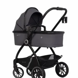 Carucior 2 in 1 pentru copii