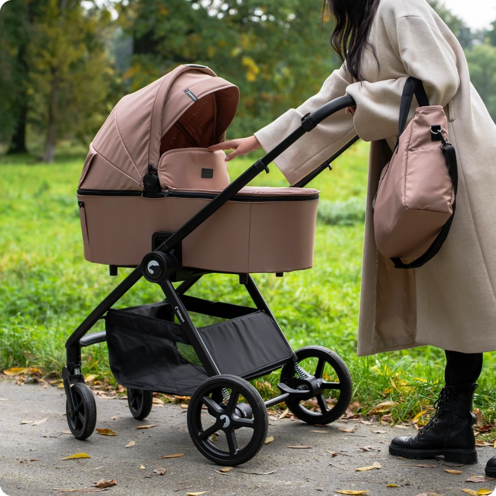 Carucior 2 in 1 pentru copii