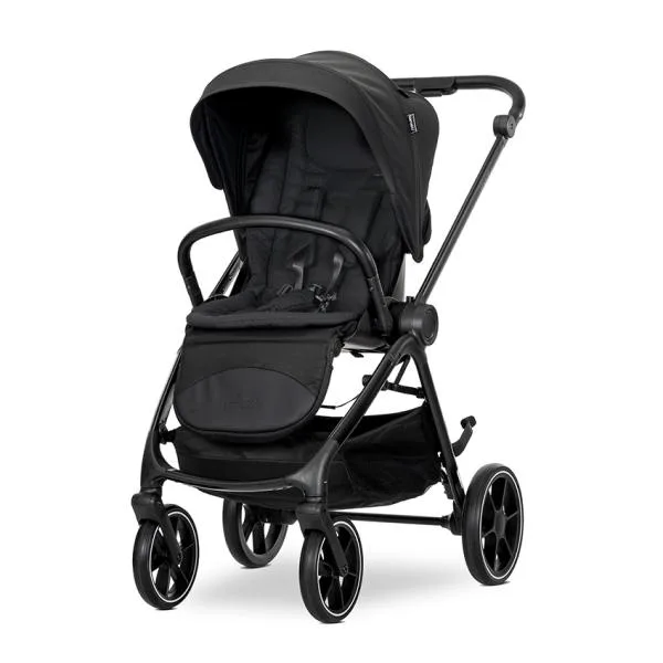 Carucior 2 in 1 pentru copii Lorelli Venice Black