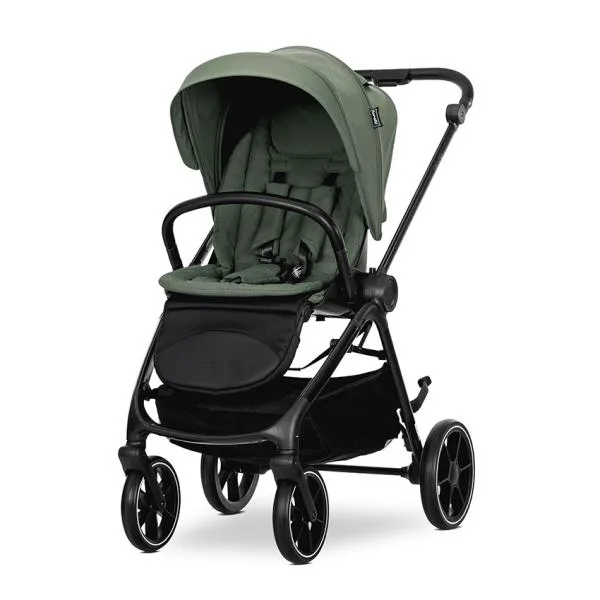Carucior 2 in 1 pentru copii Lorelli Venice Green