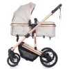 Carucior Chipolino Enigma 2 in 1 humus