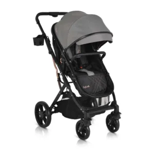 Carucior combinat Moni Raffaello 2024 Grey