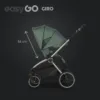 Carucior pentru copii 2 in 1 Easy Go Giro