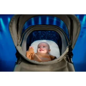 Carucior pentru copii Maxi-Cosi Fame Twillic Truffle 2 in 1