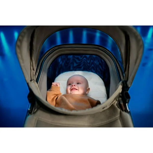 Carucior pentru copii Maxi-Cosi Fame Twillic Truffle 2 in 1