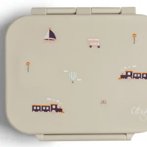 Caserola din tritan cu 3 compartimente