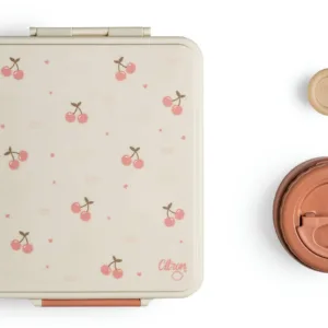 Caserola pentru pranz cu 4 compartimente si 1 borcan termoizolant