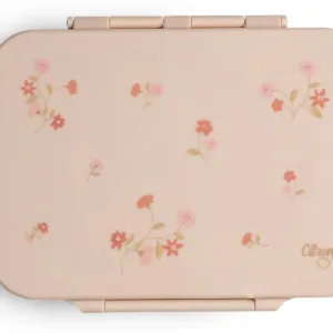 Caserola pranz din tritan cu 4 compartimente