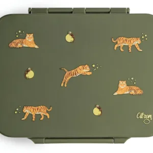 Caserola pranz din tritan cu 4 compartimente