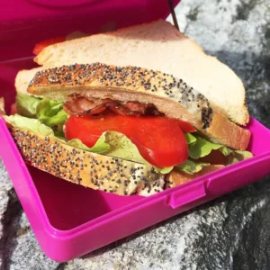 Caserola sandwich Carl Oscar gri